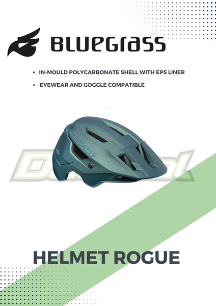 Helmet Rogue