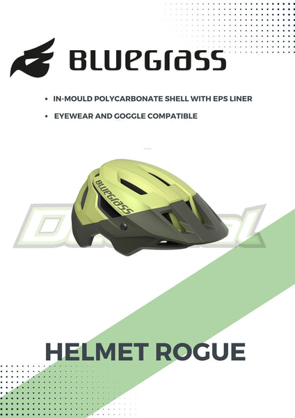 Helmet Rogue