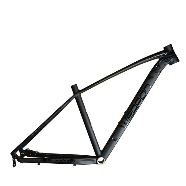 Frame Stealth