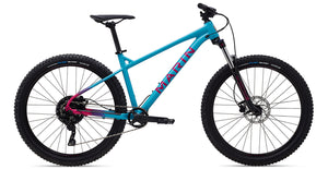 MTB San Quentin 1 Glossy Teal / Pink Black